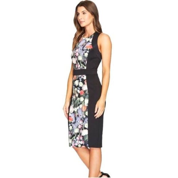 Ted Baker Dresses & Skirts - Ted Baker Kensington Dress  Size 2 (US 6)